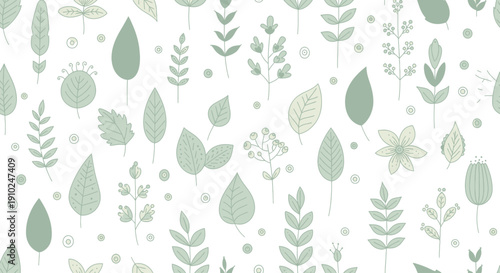 Delicate Botanical Illustration of Various Leaves and Flowers.