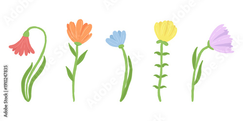 Hand drawn set of five colorful flowers on stems isolated on white background. Botanical wildflowers collection in flat doodle style for wedding invitations, cards and nursery decor.