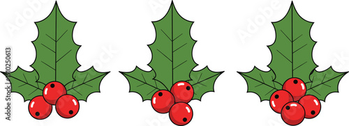 Christmas holly berry branches vector illustration set with green leaves and red berries for winter holiday decorations seasonal greeting cards and festive celebration designs.