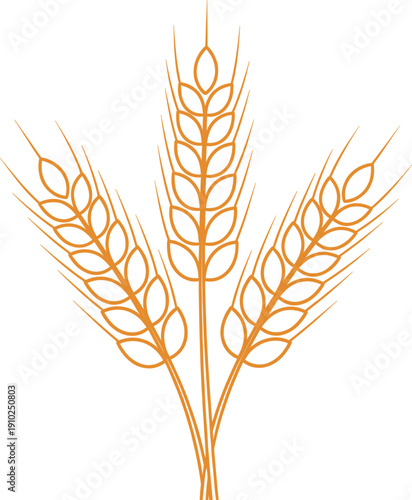 Golden Wheat Stalks Vector Illustration for Agriculture and Harvest Concepts.