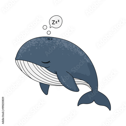 Whale contemplating mathematical equation in a simple cartoon style