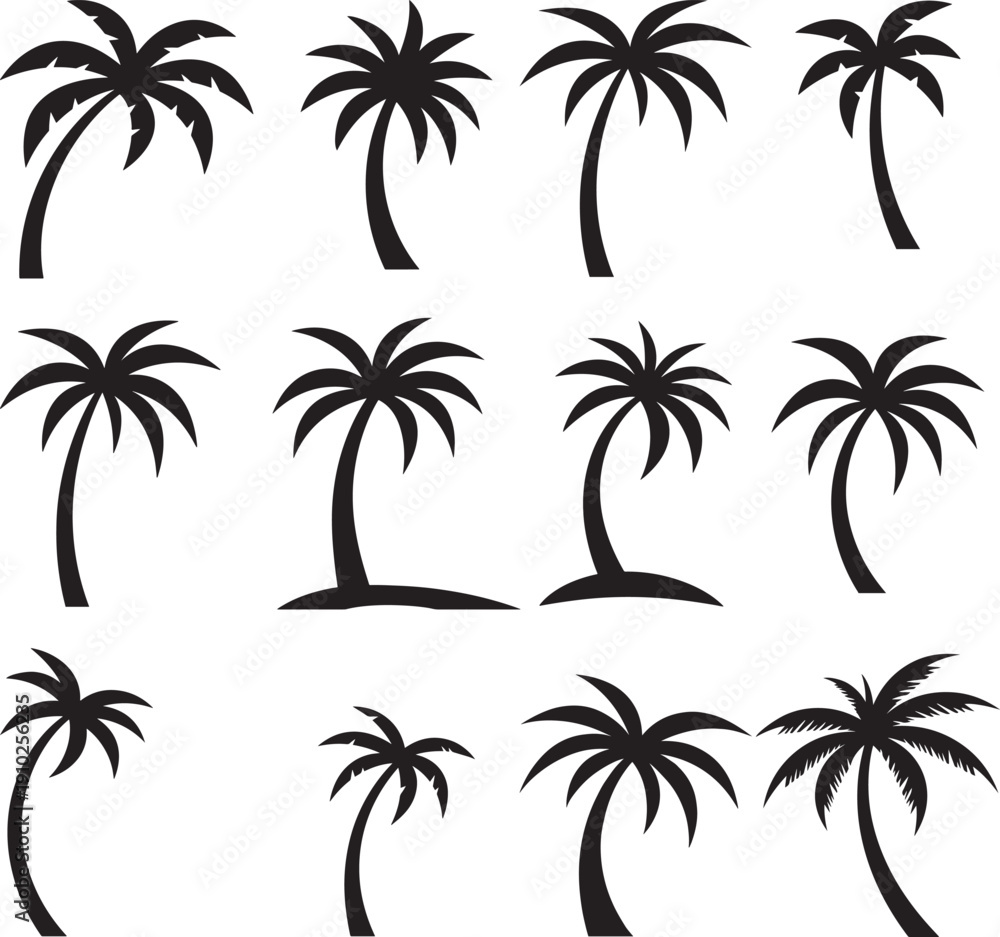 Fototapeta premium set of palm trees ,set of palms.palm, tree