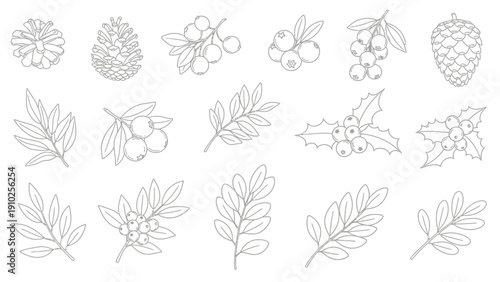 This botanical floral outline illustration features delicate leaves, flowers, and natural branches in a soft monochrome style. It represents organic beauty, eco-friendly design, and nature-inspired cr