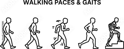Human Walking Paces and Gait Cycle Vector Illustration with Silhouettes for Running, Jogging, and Climbing Stairs; Ideal for Fitness Apps, Physical Therapy, and Health Infographics