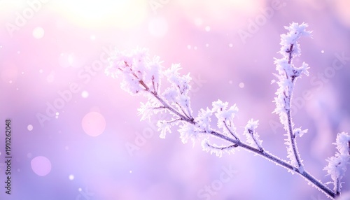 Frosty branch with soft pink and purple bokeh lights