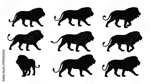 A collection of nine black silhouettes of lions in various poses and positions isolated on white background, Vector