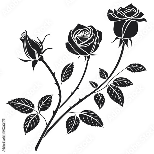 A black and white image of three roses on stems Vector