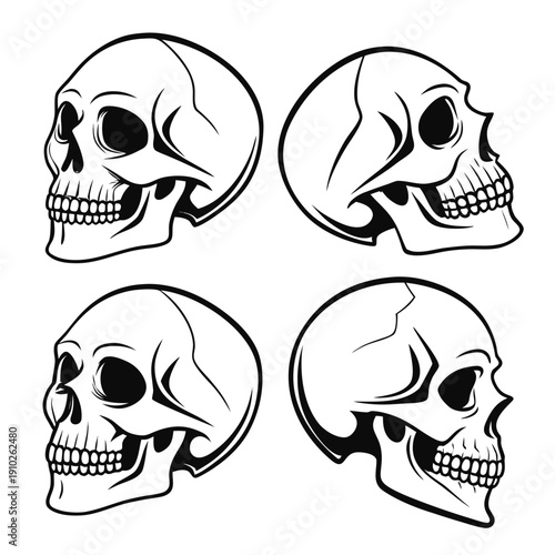 Four black and white skulls facing right Vector