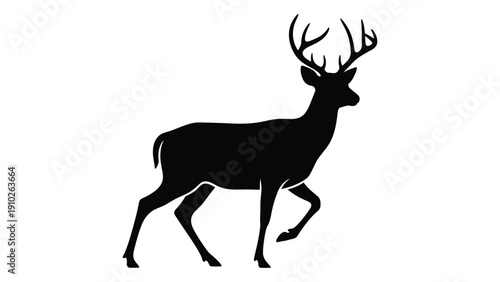 Majestic deer with large antlers standing in a natural setting. isolated on white background, Vector
