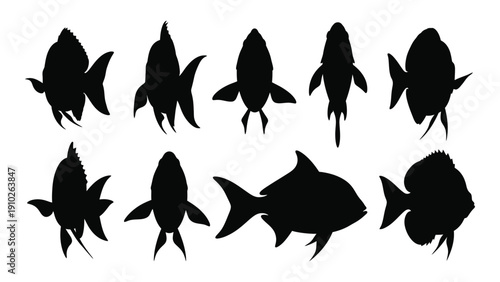 A collection of various fish silhouettes in different orientations and shapes isolated on white background, Vector
