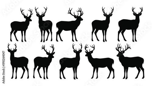 A group of nine black silhouettes of deer in various poses against a white background isolated on white background, Vector