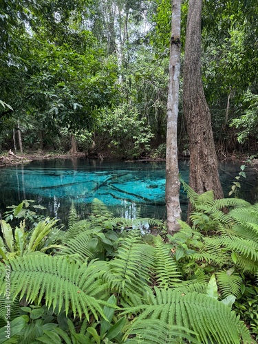 Emerald blue natural spring surrounded by tropical rainforest