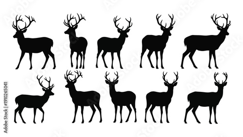 A diverse collection of deer silhouettes in various poses and orientations. isolated on white background, Vector