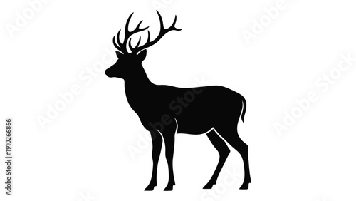 Majestic deer with large antlers standing in a natural setting isolated on white background, Vector