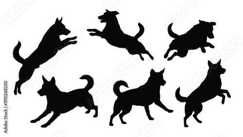 Silhouettes of various dogs in dynamic poses against a white background isolated on white background, Vector