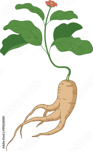 Educational biology vector diagram illustrating a complex ecosystem food web with animals including lion jackal goat eagle owl rabbit and green plants.