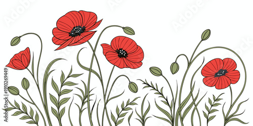 Gemini said

Vibrant red poppy flowers vector illustration featuring blooming spring flora and green leaves on a white background for summer garden nature design