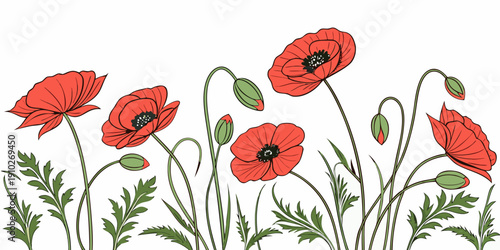 Gemini said

A beautiful field of red poppy flowers in full bloom against a white background captures the vibrant floral beauty of a wild summer meadow in nature