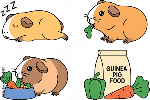 Cute guinea pig lifestyle vector set featuring cavy sleeping eating vegetables and pet food supplies for animal care guides children storybooks veterinary 