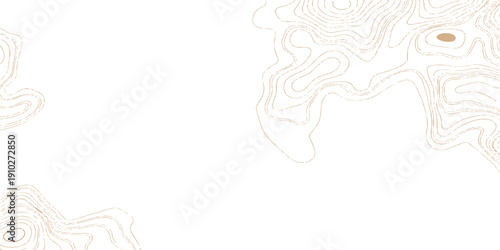 Abstract vector illustration of a human head silhouette featuring an intricate floral pattern and brain ornament symbol for creative design concepts