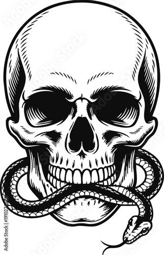 Intricate black and white skull illustration with a detailed snake coiled through the mouth and jaw area