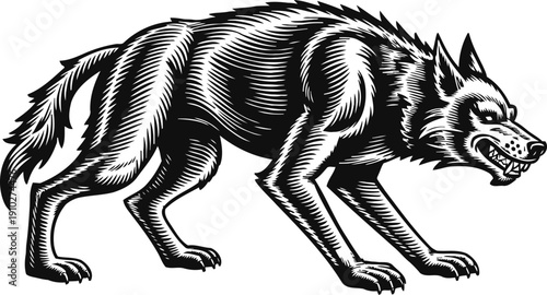 Black snarling wolf illustration with aggressive posture in detailed line art