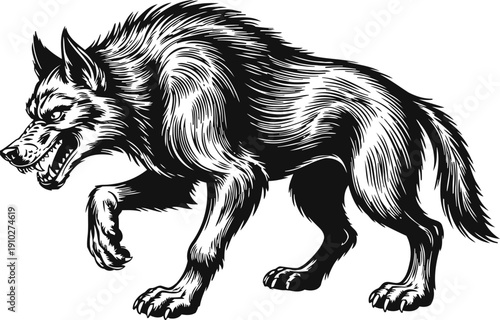 Fierce snarling wolf illustration with detailed fur texture in aggressive pose