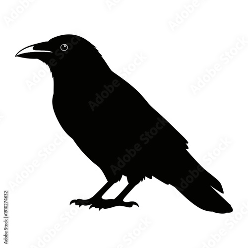 Black Crow Silhouette Standing on One Leg.