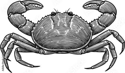Detailed black and white engraving of a crab with raised claws and textured shell