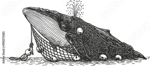 Whale entangled in fishing net, ocean animal trapped and struggling with marine debris