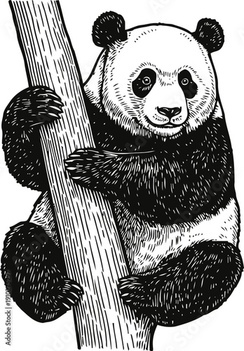 Detailed black and white drawing of a giant panda climbing a tree trunk with expressive eyes