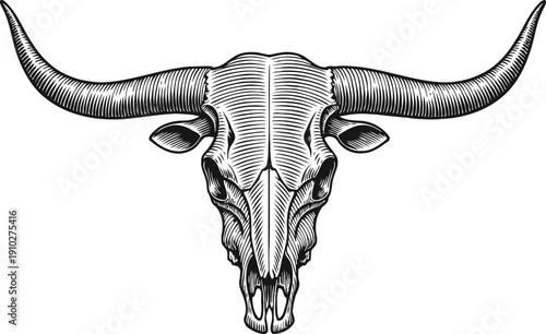 longhorn skull illustration detailed black and white bull skull with long curved horns