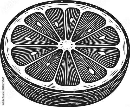Black and white hand drawn citrus fruit half detailed grapefruit slice with seeds and segments illustration