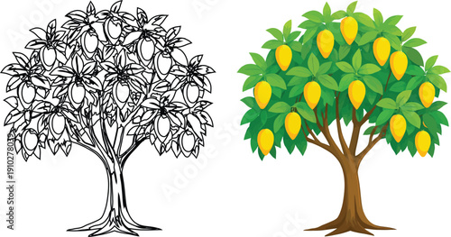 Mango tree with ripe yellow fruits vector illustration on white background, mango fruit tree line art and colorful flat design icon.