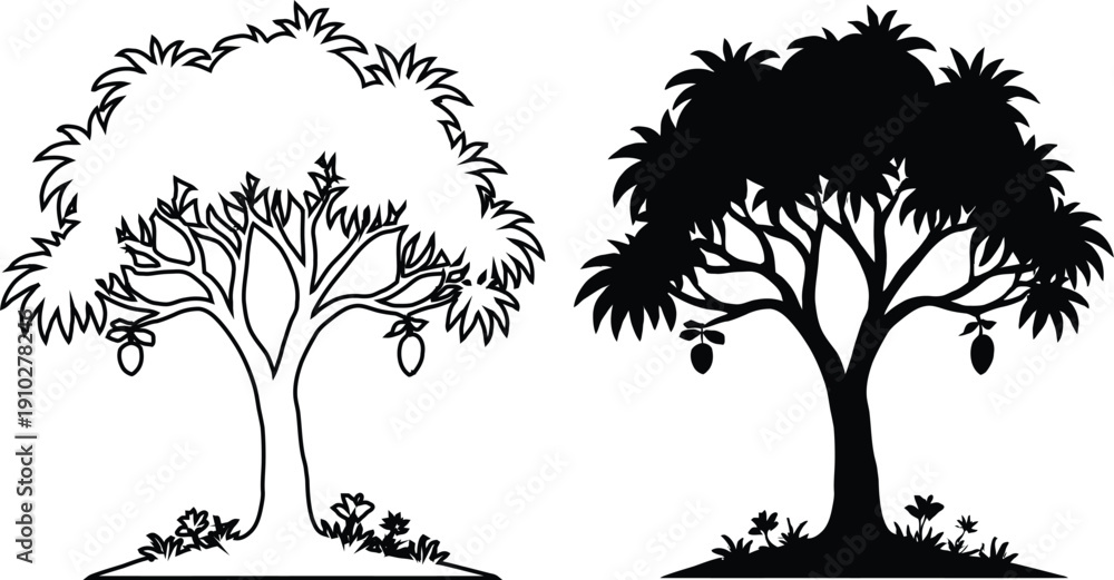 Fototapeta premium Mango tree vector illustration with fruits and leaves in outline and silhouette style, isolated on white background.
