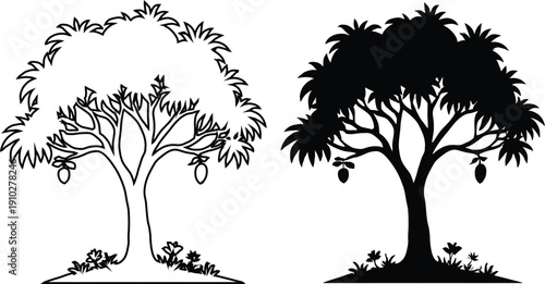 Mango tree vector illustration with fruits and leaves in outline and silhouette style, isolated on white background.