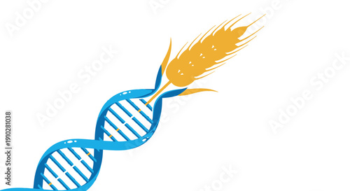Genetic Modification of Wheat Concept: DNA double helix merging with ripe grain ear symbolizing biotechnology, crop science, and GMO development in agriculture.