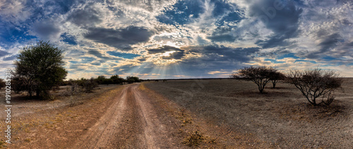 Schilderij op canvas Arid Dirt Road Under Dramatic Sky in the Kalahari Desert , landscape with sun rays breaking through clouds