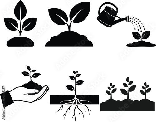 Plant growth stages and care