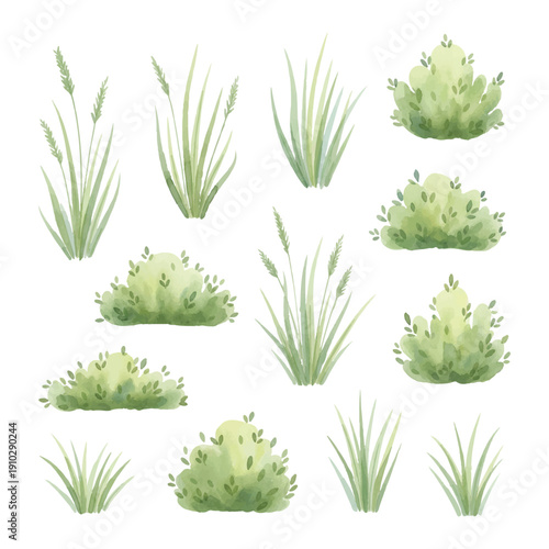 watercolor green grass and bushes