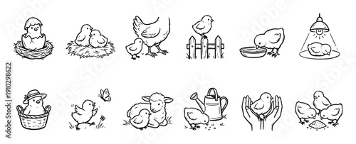 Set of cute hand-drawn chick and lamb illustrations in a black and white doodle style, depicting various farm life scenes for spring or Easter themes