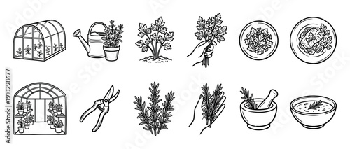 Set of hand-drawn black line icons showing the process of growing and using fresh herbs like parsley and rosemary from a greenhouse to a finished meal in a doodle sketch style