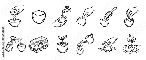 Black and white line art icons illustrating the step-by-step instructions for growing a plant seedling in an eggshell, a sustainable DIY gardening project