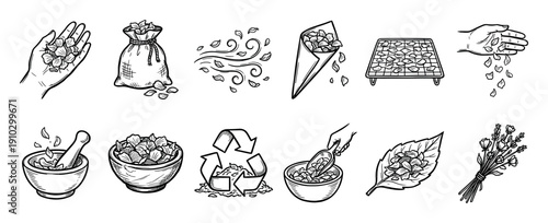 Various hand-drawn illustrations depict natural herbal ingredients being processed, dried, and prepared, showcasing a collection of organic elements in a detailed sketch style