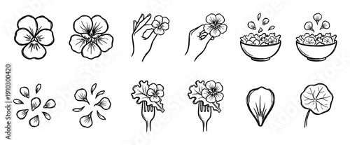 Set of hand-drawn edible flower illustrations featuring pansies, nasturtium leaves, and salad bowls in a minimalist black and white line art doodle style for culinary concepts