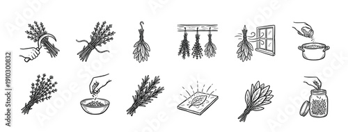 Hand-drawn icon set of herbs and spices showing the process of harvesting, drying, cooking, and storing aromatic plants in a simple black and white line art doodle style