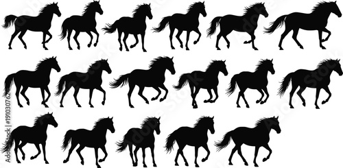 Horse gallop silhouette vector, equine motion illustration, animal icon set, running horse graphic, biomechanics design element, wildlife silhouette collection