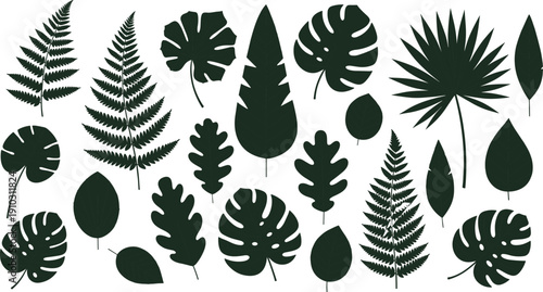 Tropical leaf silhouettes collection, monstera fern palm and exotic foliage set, black botanical elements on white background, flat vector illustration.