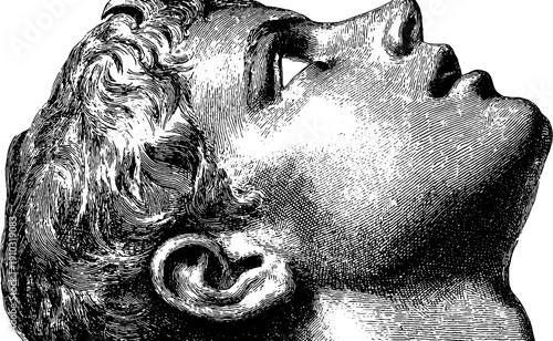 Wonder and curiosity: vintage botanical human emotion sketch