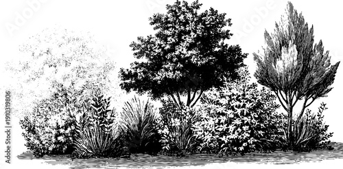 Monthly nature cycle allegory - vintage botanical sketch for design